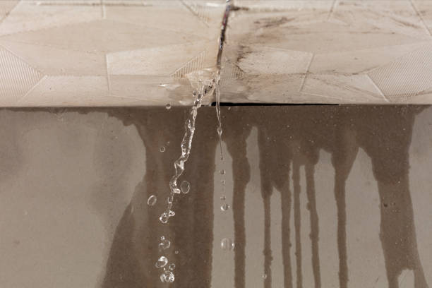 Professional Burst Pipe Cleanup technician working in Big Pine Key, FL